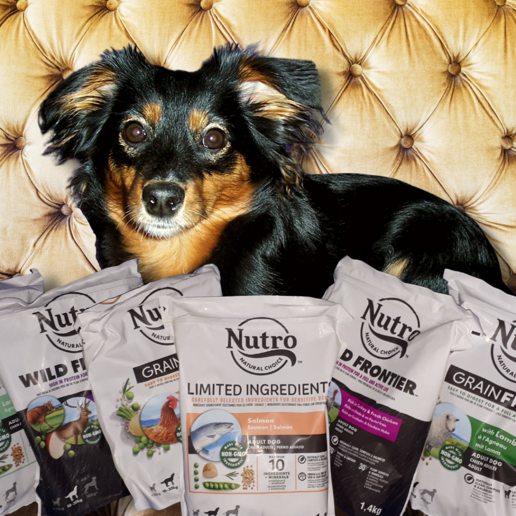 Kira mit Hundefutter von Nutro